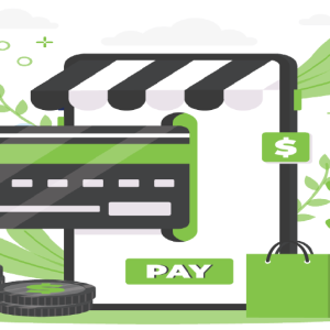Installment plan software