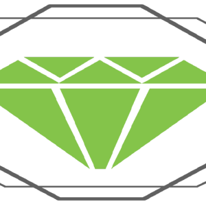 Jewelry shop software