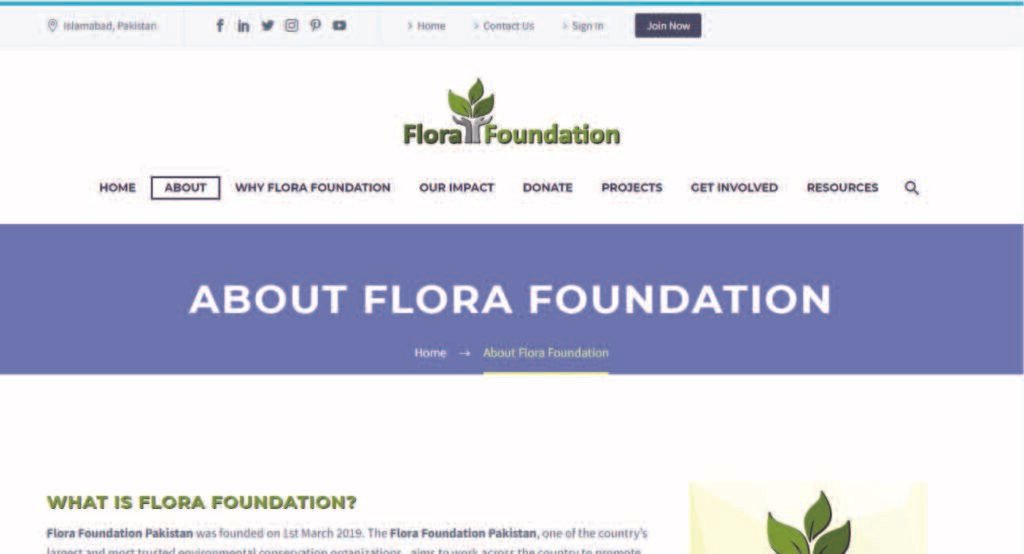 floral foundation