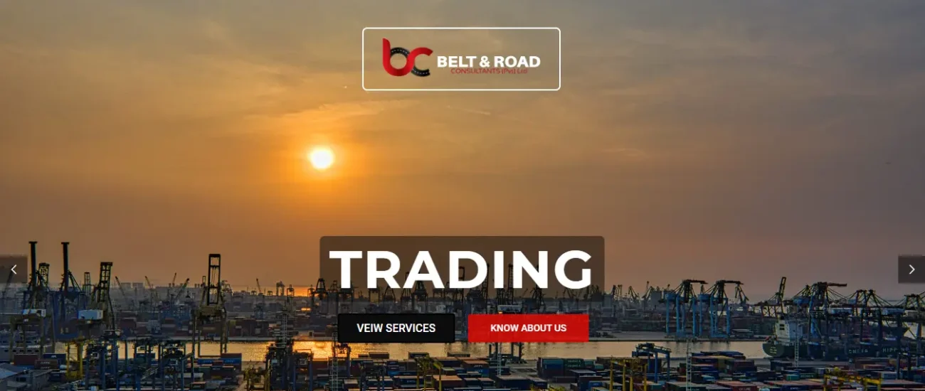Belt and Road consult